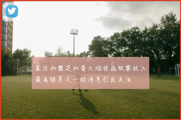 莱万加盟芝加哥火焰将成联赛收入最高球员之一的消息引发关注