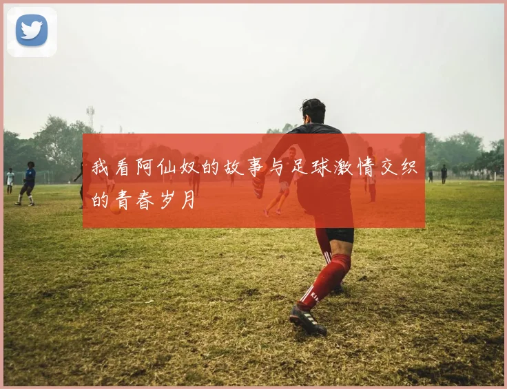 我看阿仙奴的故事与足球激情交织的青春岁月