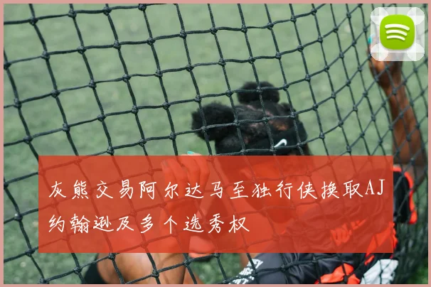 灰熊交易阿尔达马至独行侠换取AJ约翰逊及多个选秀权